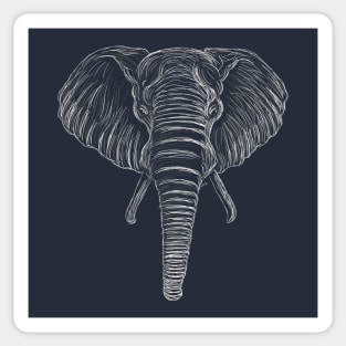 Elephant Sticker